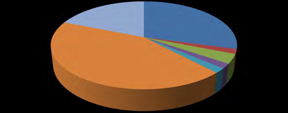Στο Δείγμα 9 αμμούχας μάργας βρέθηκαν 5 διαφορετικά είδη οστρακωδών με επικάλυψη ιζήματος, τα C. elisabethae με ποσοστό 29%, P. fulva, T. ruggierii,t. kaeveri με 2% το καθένα και το C. neglecta με 3%.