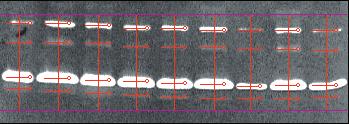 0 kda) MMP-2 (52.