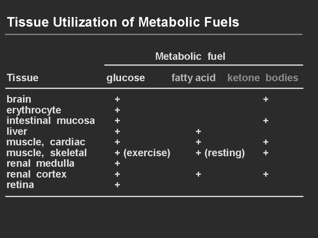 Razgradnja maščobnih kislin Ketonska telesa Pregled metabolizma MK stradanje computing hranjeno stanje triacilgliceroli v hilomikronih