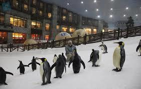 Στο φημισμένο εμπορικό κέντρο Emirates Mall κατασκευάστηκε το πρώτο κλειστό χιονοδρομικό κέντρο στην Μέση Ανατολή.