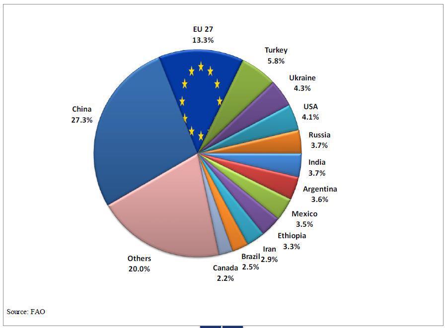 Μέλι στην αγορά της ΕΕ Η Ευρωπαϊκή Ένωση είναι ο δεύτερος μεγαλύτερος