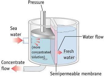 Vapor pressure Dilute Solution انتقال المذيب Concentrated solution يمكن القيام بعكس اتجاه المذيب )مثال الماء( من المحلول ذو التركيز العالي الى التركيز