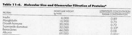 000 prehod zmanjšan hitrost GF kazalci GF (moleklami, ki se le filtrirajo) inlin, kreatinin Glomerlarna filtracija (GF) Vpliv vezave na proteine