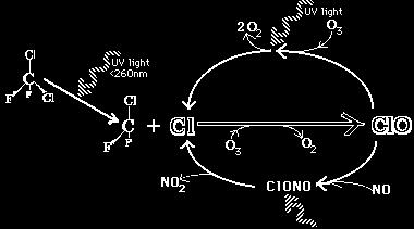 Γιατί το Cl βλάπτει το Όζον ; Μηχανισμός αποσύνθεσης του Ο 3 Πόσο μένει ένα CFC στην ατμόσφαιρα; 50-400 χρόνια!