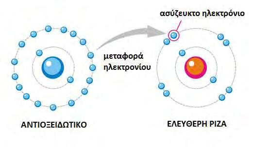 συνήθως έχουν μικρό μοριακό βάρος.