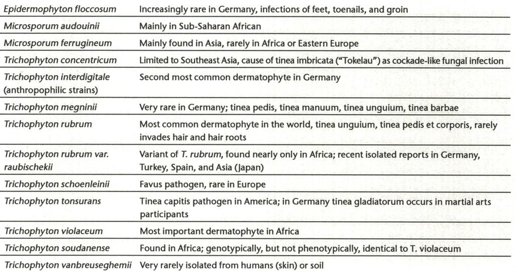 Ανθρωπόφιλα Δερματόφυτα De Hoog GS et al: