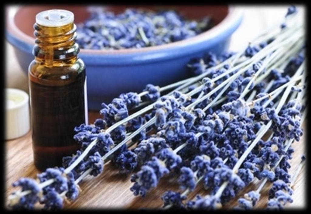 2.4 ΑΡΩΜΑΤΑ (PERFUMS) Τα αρωματα αποτελουν μεγαλη κατηγορια συνθετων μιγματων για αρωματισμο του δερματος, με ιδιαιτερο χαρακτηριστικο την ευχαριστη οσμη.
