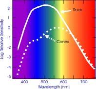 bangų ilgis nuo 400 nm (violetinė) iki