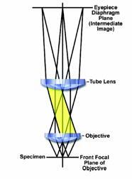 Geometrinė optika: lęšis Kai objektas patalpinamas židinio plokštumoje, atvaizdas formuojasi begalybėje (spinduliai lygiagretūs).