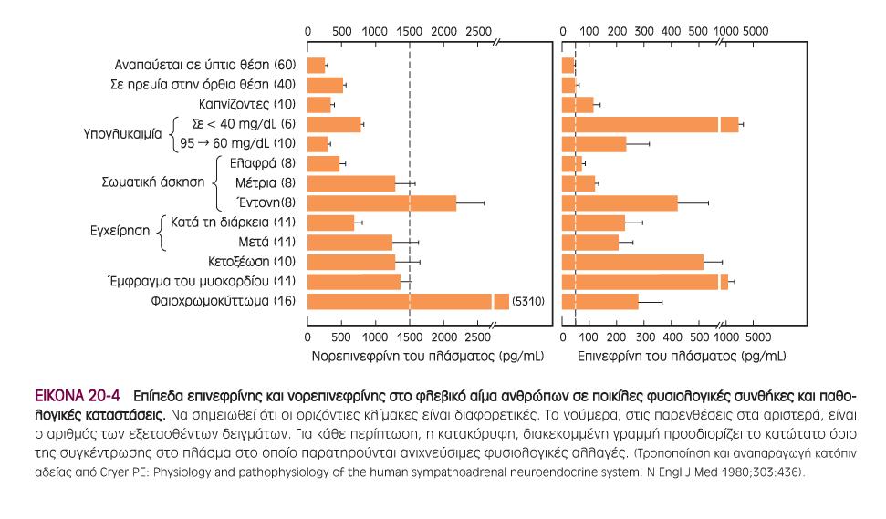 Η νορεπινεφρίνη του πλάσματος σπάνια υπερβαίνει την ουδό των καρδιαγγειακών και μεταβολικών