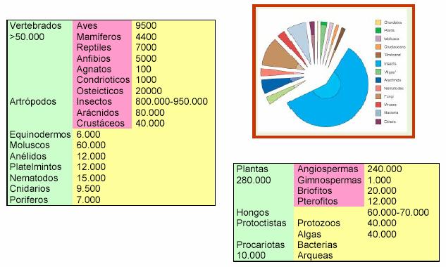 A diversidade dos seres vivos