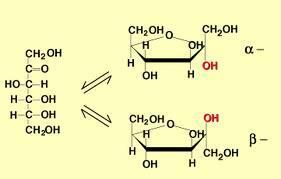 Fructoza - C 6 H 12 O 6 anomeri Fructoza sau zaharul din fructe se gaseste impreuna cu glucoza in fructele dulci si in miere Proprietati fizice