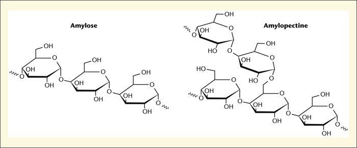 amidonului in mediu acid: (C 6 H 10