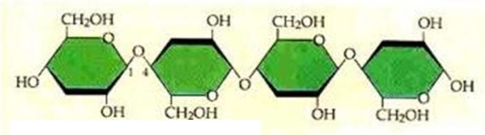 macromoleculele au orientare liniara si structura filiforma, care permite formarea unor leg.