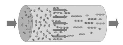 1. Биофизика на флуиди 19 Сл. 1.14: Движење на крвни зрнца низ крвен сад. ниот систем, a c е функциjа што зависи од волуменот на дисперзните честички и волуменот на дисперзниот систем.