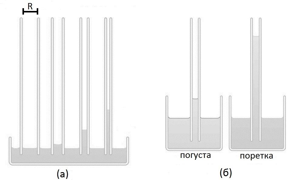 1. Биофизика на флуиди 25 Сл. 1.19: Капиларна елевациjа на течност во тенки цевки. (а) цевки со различна ширина. (б) капиларни елевациjа на течности со различна густина.