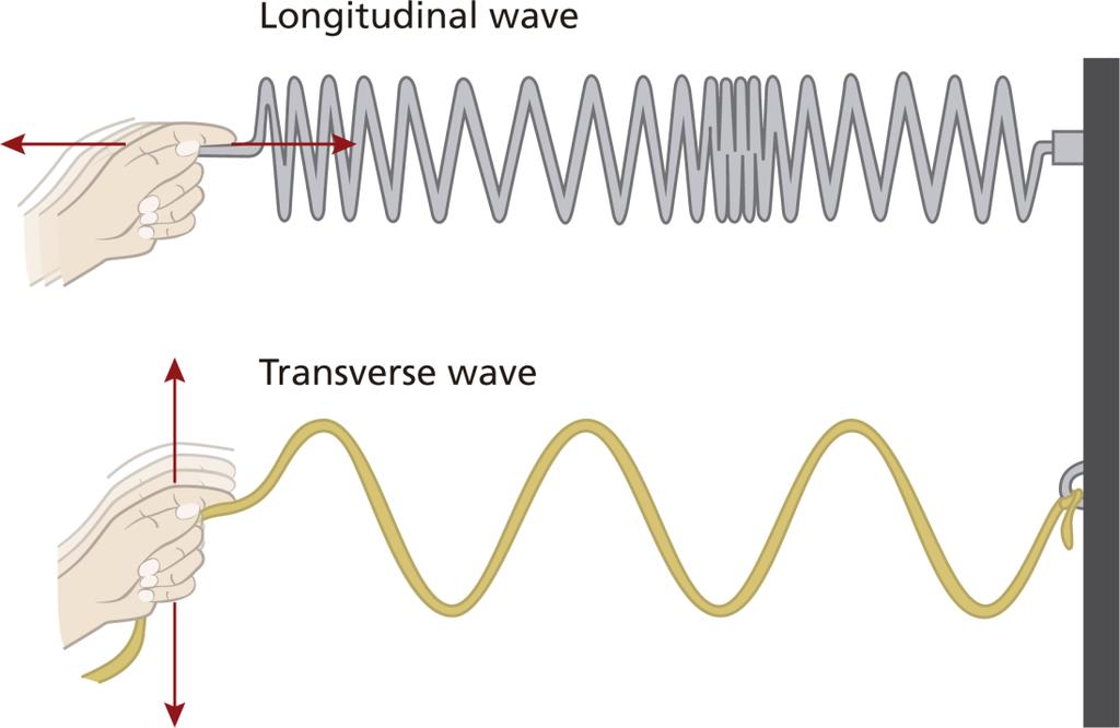 מבוא ורקע עיוני ניתן לסווג את הגלים לשתי קבוצות, לפי הכיוון בו הגל מתקדם: בגל אורך רוטטים חלקיקי התווך