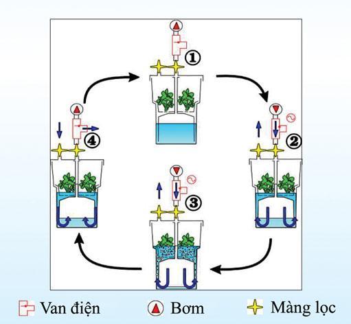 BIOREACTOR