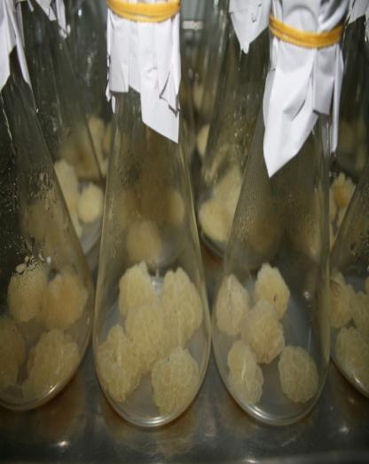 Tinh sạch sản phẩm