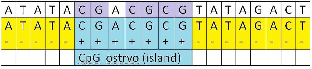 Како се из Х стања (X {A,C,G,T}) емитује Х симбол, емисионе вероватноће у том случају ће бити 1, а за остале симболе 0. То није уобичајено код СММ.