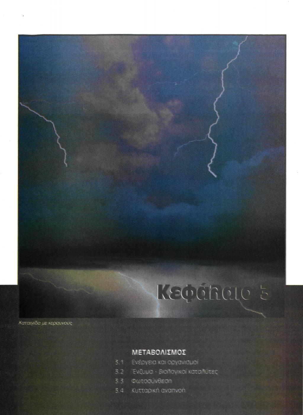 Καταιγίδα με κεραυνούς ΜΕΤΑΒΟΛΙΣΜΟΣ 3.1 Ενεργεία και οργανισμοί 3.