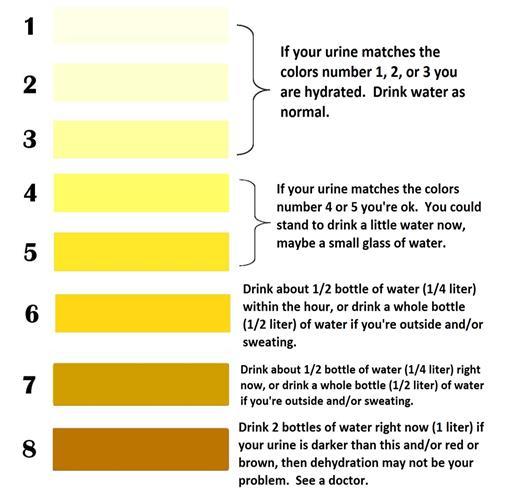8 τρόποι για να κάνετε το νερό 1. Πιείτε ένα ποτήρι νερό με κάθε γεύμα συνήθεια 2. Κουβαλάτε ένα μπουκαλάκι νερό μαζί σας συνέχεια 3. Έχετε πάντα ένα μπουκαλάκι νερό στο γραφείο 4.