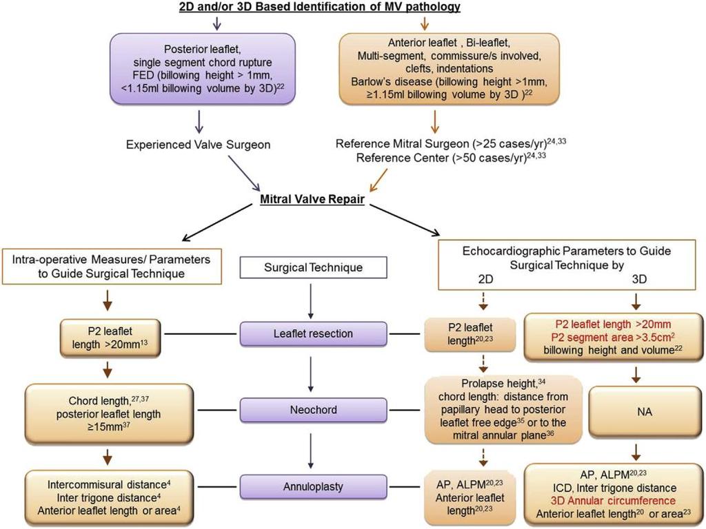 NOVEL 3D AUTOMATED SOFTWARE FOR MV QUANTIFICATION