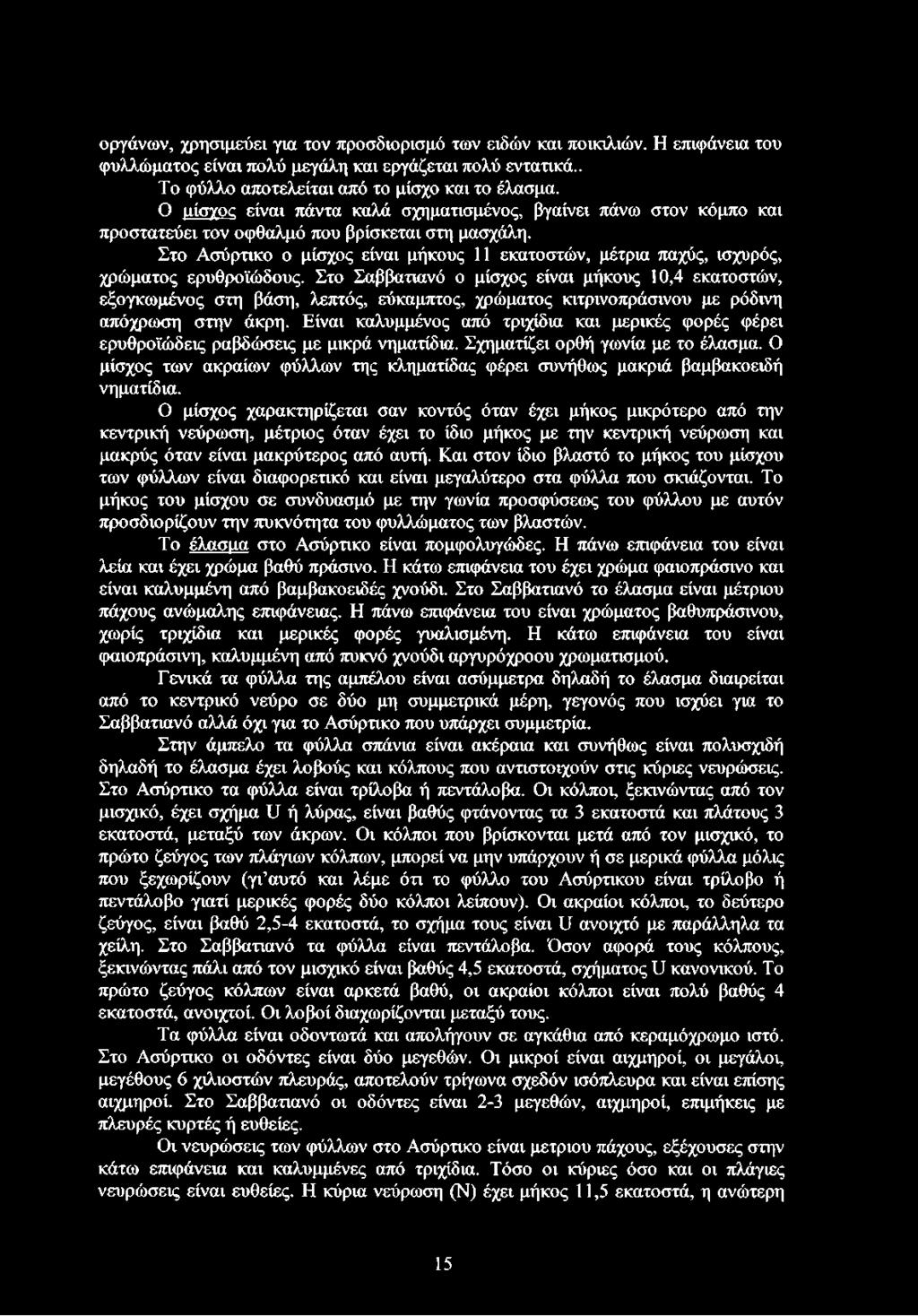 Στο Ασύρτικο ο μίσχος είναι μήκους 11 εκατοστών, μέτρια παχύς, ισχυρός, χρώματος ερυθροϊώδους.