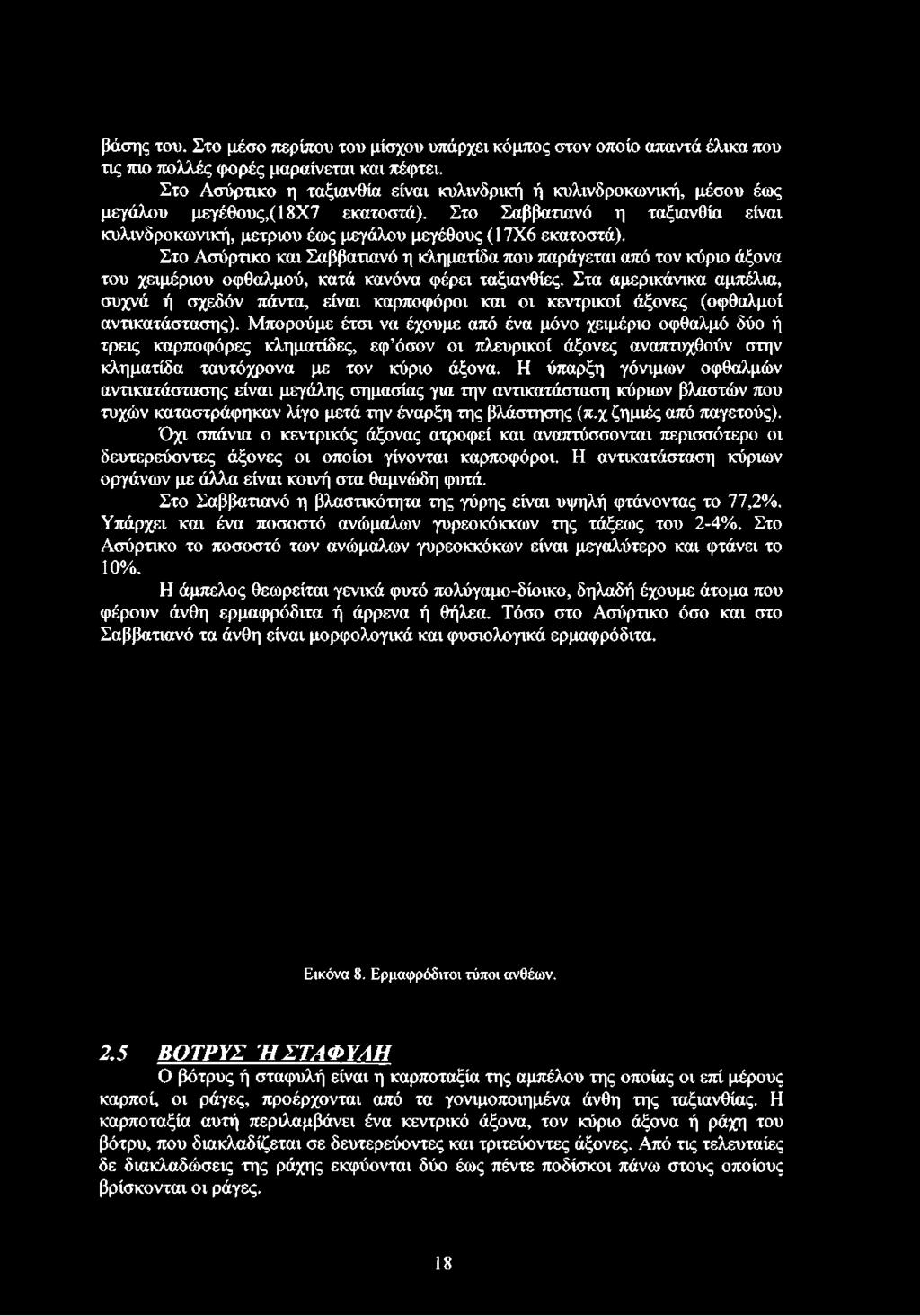 Στο Ασύρτικο και Σαββατιανό η κληματίδα που παράγεται από τον κύριο άξονα του χειμέριου οφθαλμού, κατά κανόνα φέρει ταξιανθίες.