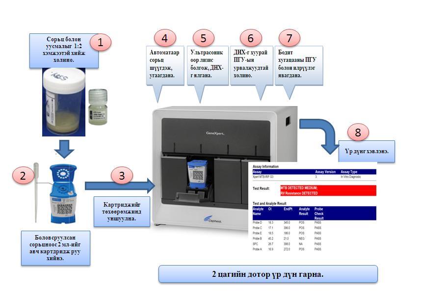Технологийн булан Сүрьеэгийн нян (M.tuberculosiscomplex) болон рифампицины тэсвэржилтийг илрүүлдэг Xpert MTB/RIF молекул биологийн шинжилгээ Gene Xpert MTB/RIF assay (Cepheid, Sunnyvale, Ca.