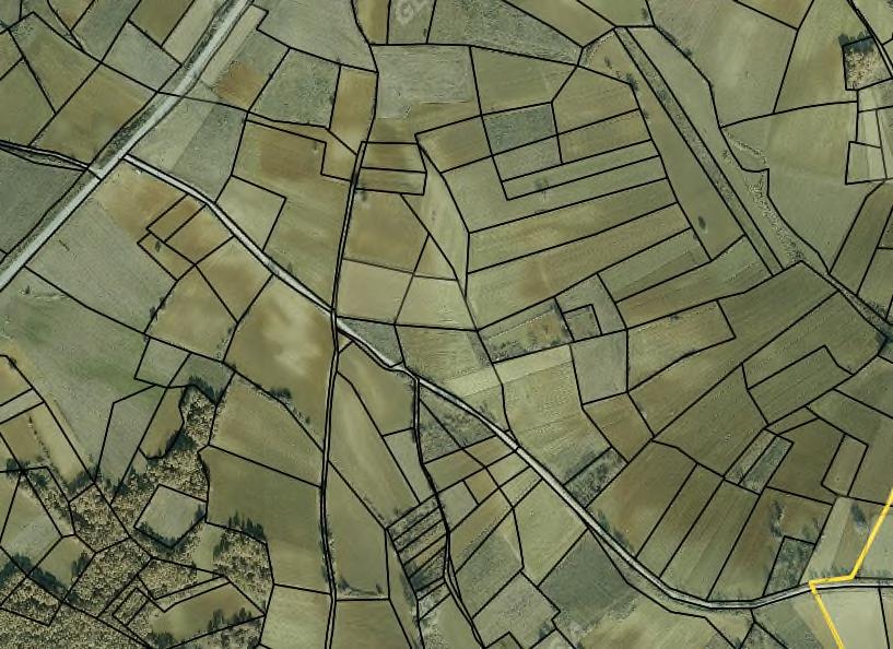 Εικόνα 10. Αεροφωτογραφία περιοχής που πρόκειται να κτηματογραφηθεί με σχεδίαση των ορίων των γεωτεμαχίων που προέκυψαν από ψηφιοποίηση.
