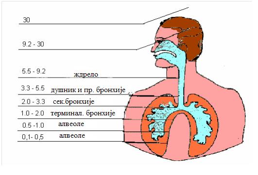 Праћење суспендованих и респирабилних честица на подручју града Новог Сада стр.10-19 органски угљеник (organic carbon OC) који је и примарног и секундарног порекла.