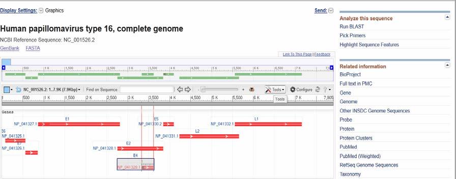 ηλεκτροφόρηση, στην Real-time PCR, όπως φανερώνει και η ονομασία της, γίνεται ποσοτικοποίηση του DNA σε κάθε κύκλο ξεχωριστά με τη βοήθεια χρωστικών που φθορίζουν και laser που είναι προσαρμοσμένα