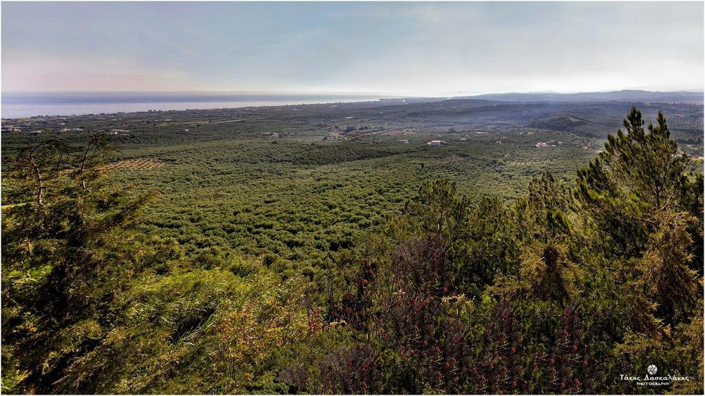 Ποιότητα και Εξαγωγές Ελαιολάδου Μανώλης Καρπαδάκης Τμ.