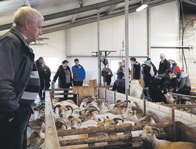 Myndir / Kristín Gunnarsdóttir og Nanna Steinunn Höskuldsdóttir Vel var að venju mætt í heimboðið á dögunum þar sem bændur úr Norður- Þingeyjarsýslu gerðu sér glaðan dag.