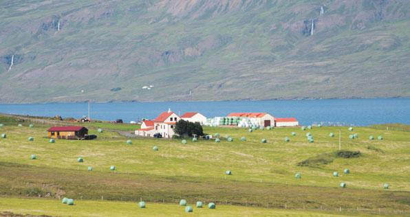 Í mjög svipuðu sniði eins og hann er núna, en þá ætlum við að vera komin með góða aðstöðu fyrir hestana og ríða meira út. Hvaða skoðun hafið þið á félagsmálum bænda?