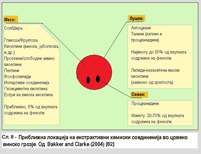 Вината и грозјето содржат голем број полифенолни соединенија што се класифицирани во две главни групи: нефлавоноиди (оксибензоева и оксициметна киселина и нивни деривати, стилбени и фенолни алкохоли)