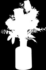 Krizanteme 35x18 211562