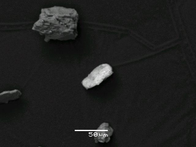 Εικόνα 4.2: Εδαφικό δείγμα J7. Οι σκουρόχρωμοι κόκκοι είναι αργιλοπυριτικά ορυκτά, ο πολύ φωτεινός κόκκος αποτελείται από Pb (1,41wt%) και Zn (2,32wt%), σύμφωνα με τις χημικές αναλύσεις που έγιναν.