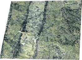 Struktura granoblastična lepidoblastična Minerali serpentin, olivin, piroksen, amfibol, magnetit, klorit,
