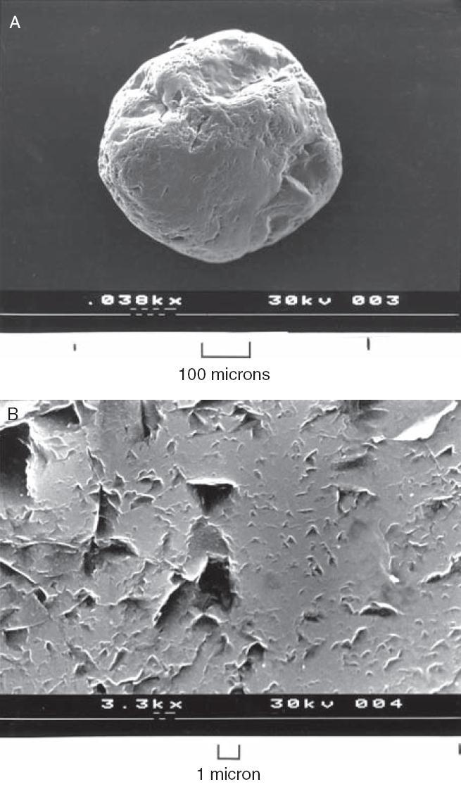 A. Granul de nisip cuartos de plaja. Electron micrograph surface Norwich, Norfolk, England. B.