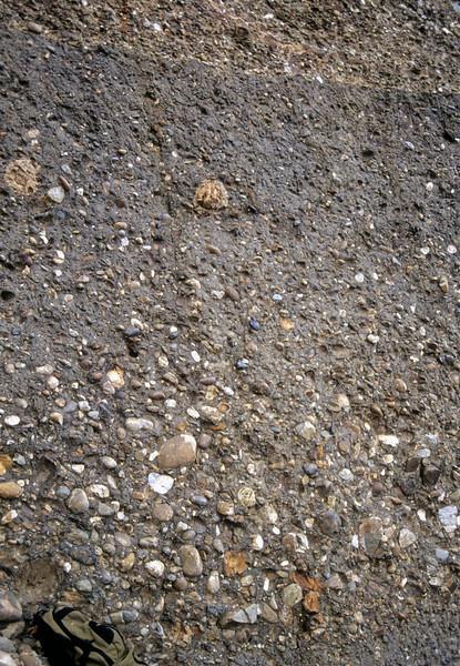 Granoclasarea normala Normally graded conglomerate layer with a muddy matrix,
