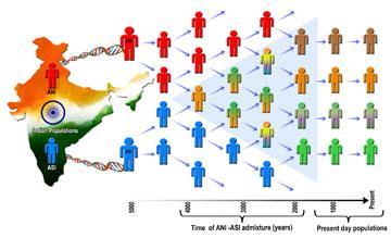 Γενετικό αποτύπωμα του συστήματος των «καστών» στην Ινδία Στην Ινδία ζουν σήμερα 1,2 δις άνθρωποι με καταγωγή από 4635 φυλές Πριν από 1600 χρόνια καθιερώθηκε το σύστημα ιεράρχησης των επαγγελματικών