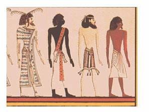 Οι ανθρώπινες «φυλές» Παραδοσιακά οι ανθρώπινες φυλές διακρίνονται σύµφωνα µε φαινότυπους όπως το χρώµα της επιδερµίδας και των µαλλιών και χαρακτηριστικά του προσώπου που εµφανώς διαφέρουν σε
