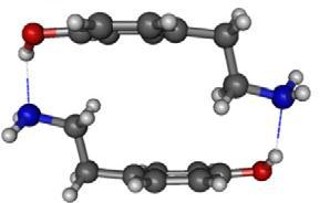 Reacción entre N-benciltiraminas y aldehídos no enolizables N-Benciltiramina + Formaldehído Antecedente: Macrociclación por reacción tipo Mannich aromática entre tiramina y