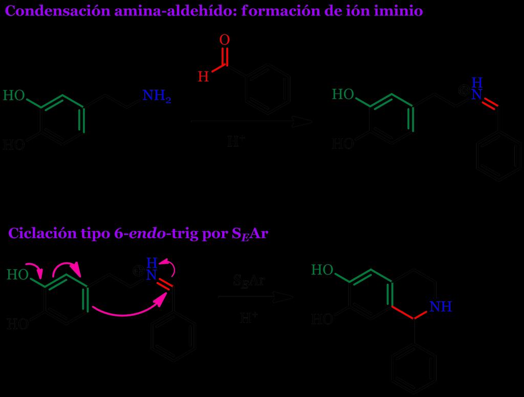 Introducción y antecedentes Reacción de