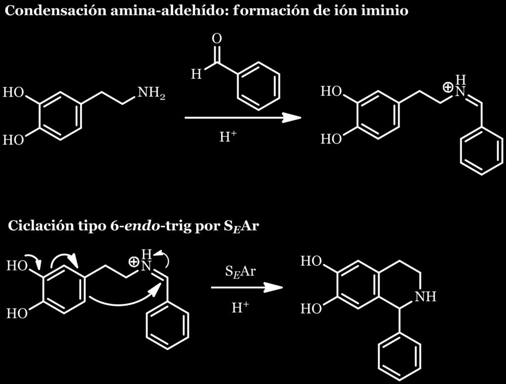 anillo aromático esté activado: Indol