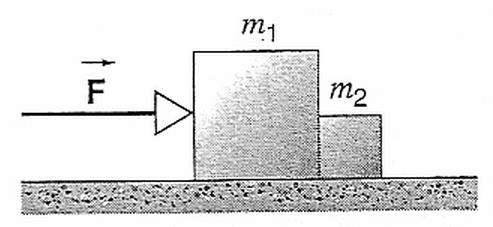 שאלה 1 3113 חוקי ניוטון שני בלוקים מונחים צמוד אחד לשני על שולחן חסר חיכוך, כמו באיור. כח אופקי F מופעל על אחד הבלוקים. נתון כי: F = 3. N m 1 =.3 kg m = 1. kg א. מצא/י את הנורמל בין שני הבלוקים. ב. הראה/י שאם אותו הכח פועל על m אך בכיוון המנוגד, כח הנורמל המתקבל הוא N =.