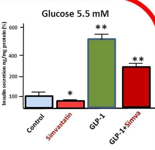 Simvastatin Impairs Insulin Secretion by Multiple