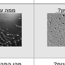 בכל דף